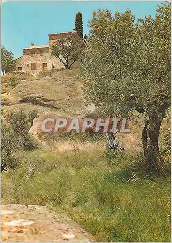 Moderne Karte La Belle Provence Un joli Mas provencal a Beaumes de Venise