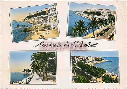 Cartes postales moderne La Cote d'Azur St Raphael