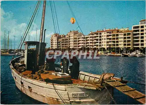 Cartes postales moderne La Cote d'Azur Varoise Hyeres les Palmiers Port Saint Pierre Bateau