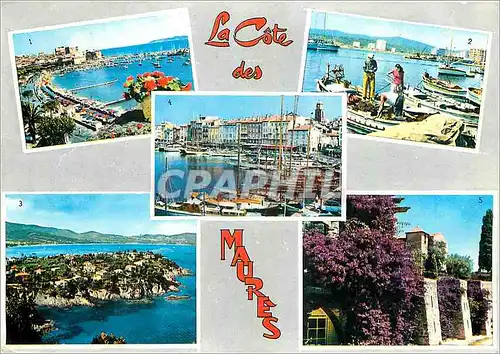 Cartes postales moderne La Cote des Maures Ste Maxime sur Mer Le Lavandou