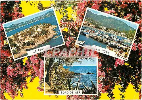 Cartes postales moderne La Cote d'Azur Cavalaire sur Mer (Var) Le Cap et la Baie le Port Bord de Mer