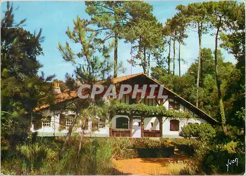 Cartes postales moderne Couleurs et Lumiere de France Villa Landaise dans la Foret de Pins