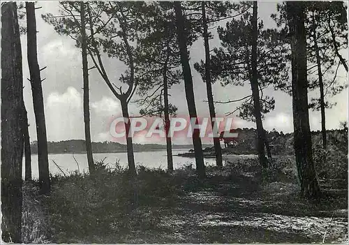 Cartes postales moderne Capebreton Sous Bois et le Lac