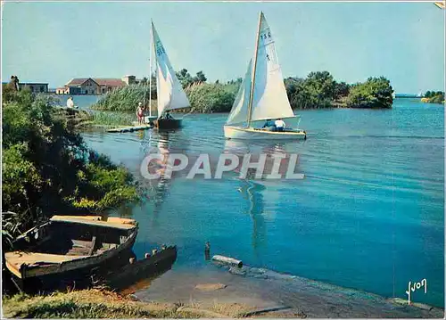 Cartes postales moderne Couleurs et Lumiere de France les Sables d'Olonne (Vendee) Le lac des Tenchettes