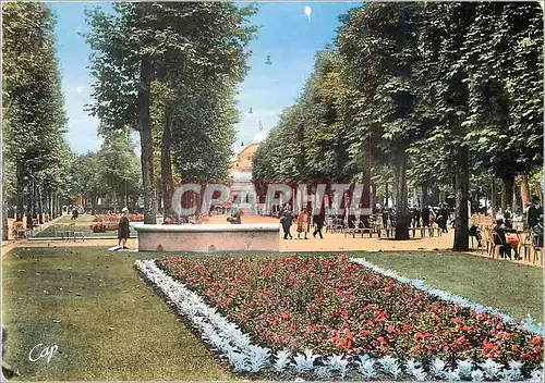 Cartes postales moderne Vichy Alle Fleurie