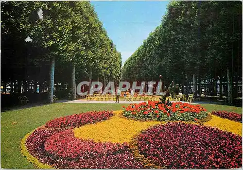 Cartes postales moderne Vichy (Allir) Le parc du Casino