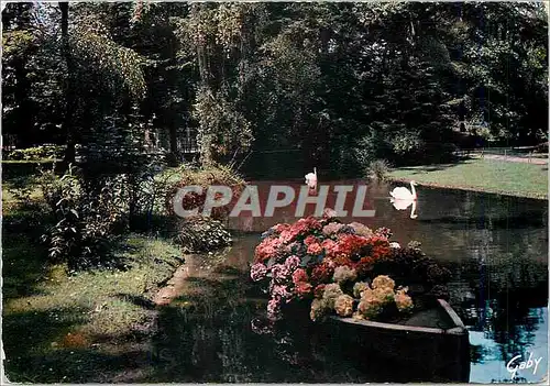 Cartes postales moderne Tour (I et L) Un coin charmant du jardin botanique la Barque d'Hortensias