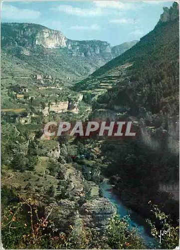 Cartes postales moderne Couleurs et Lumiere de France Vallee de la Jonte (Lozere) Panorama pris des sSTerrosses