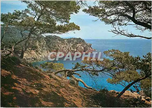 Moderne Karte Mediterranee aux rivages sans nuages calanque aux reflets d'or