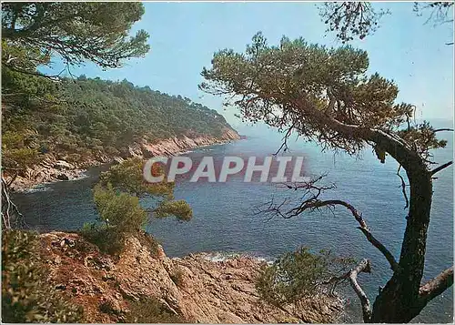 Cartes postales moderne Mediterranee aux rivages sans nuage calanque ou la vague s'abrite