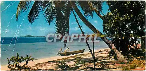 Cartes postales moderne Seychelles Islands Prastin au large se dessine l'Isle Cousin