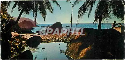 Cartes postales moderne Seychelles Islands La Nature telle que Dieu la Fait