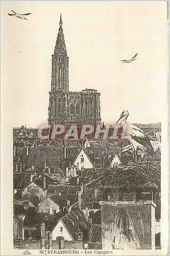 Cartes postales moderne Strasbourg Les Cogognes