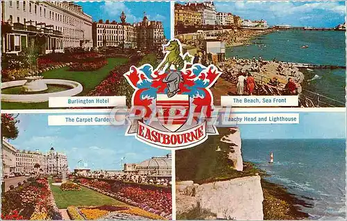 Cartes postales moderne Eastbourne The Carpet Gardens