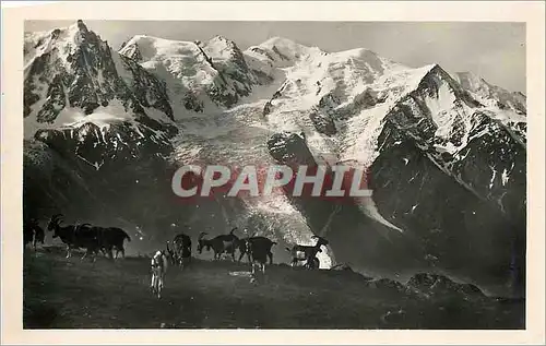 Cartes postales moderne Chamonix Mont Blanc Massif de Mont Blanc vu de Plan Praz Chevres