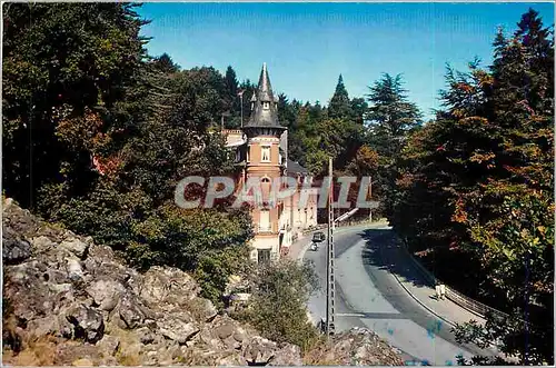 Cartes postales moderne Station Thermale de Bagnoles de l'Orne (Orne) Le Roc au chien