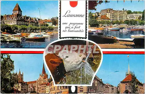 Cartes postales moderne Lausanne une paysanne qui a fait ses humanites Vache