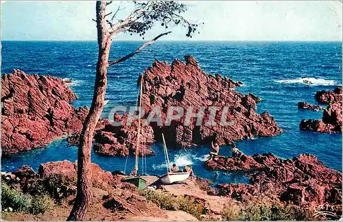 Cartes postales moderne Reflets de la Cote d'Azur La Petite Calanque