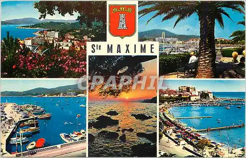 Cartes postales moderne La Cote d'Azur Sainte Maxime sur Mer (Var) Vue generale la Place des Palmiers