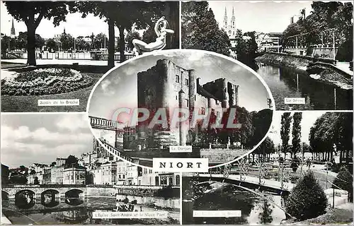Cartes postales moderne Niort Jardin de la Breche La Sevre L'eglise Saint Andre