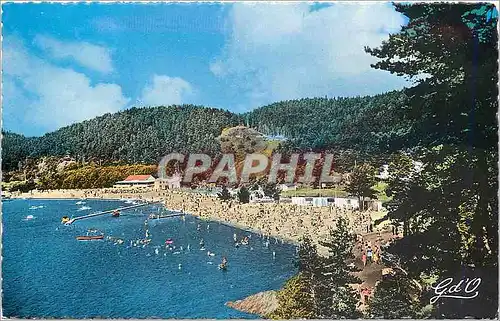 Cartes postales moderne L'Auvergne Le Lac Chambon (Puy de Dome) Superfocie 60 ha alt 877 m peche et tous les sports naut