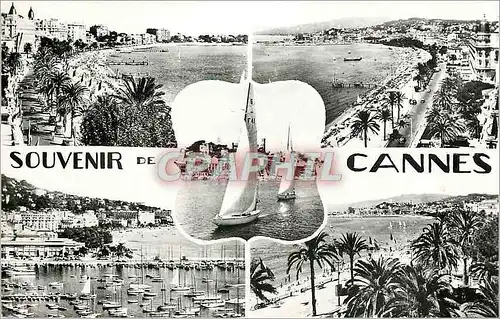 Cartes postales moderne La Cote d'Azur Cannes