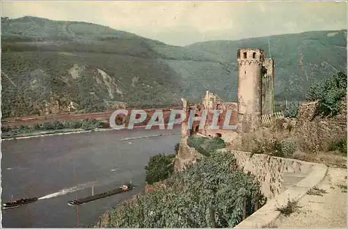 Cartes postales moderne Burgruine Ehrenfels am Rhein