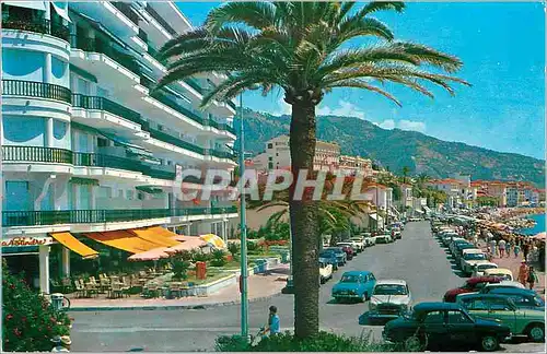 Cartes postales moderne Cote d'Azur Menton La Promenade du bord de Mer