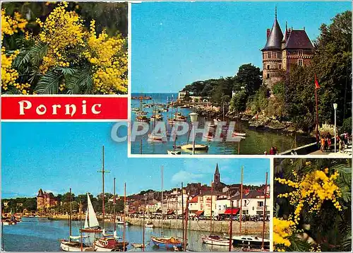 Cartes postales moderne Lumiere de la Cote de Jade Pornic Le Chateau et le Pont
