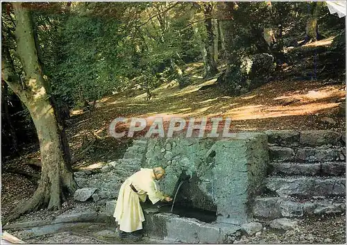 Cartes postales moderne Sanctuaires de France La Sainte Baume (Var) La Fontaine de Nans sur le chemin de la Grotte