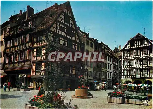 Moderne Karte Strasbourg (Bs Rhin La Place du Marche auc Cochons de Lait