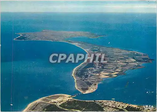 Moderne Karte Vues du ciel Fromantine L'Ile de Noirmoutier reliees par le nouveau pont