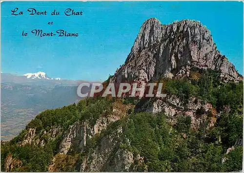 Moderne Karte Paysages de Savoie la Dant du chat alt 1390 m et le Massif du Mont Blanc