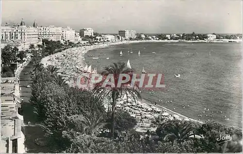 Cartes postales moderne La Cote d'Azur Cannes le Boulevard de la Croisette et les Grand Hotel