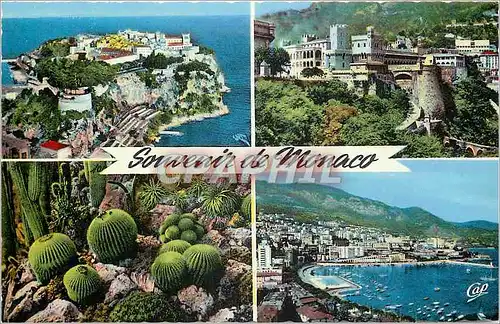 Moderne Karte Souvenir de Monaco