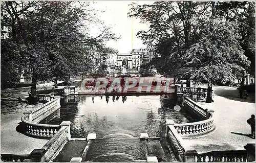 Cartes postales moderne Dijon Le Jardin Darcy