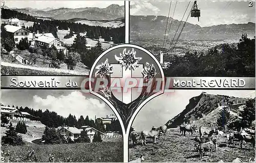 Cartes postales moderne Souvenir du Mont Rivard