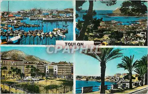 Cartes postales moderne Toulon (Var) Souvenir de Toulon