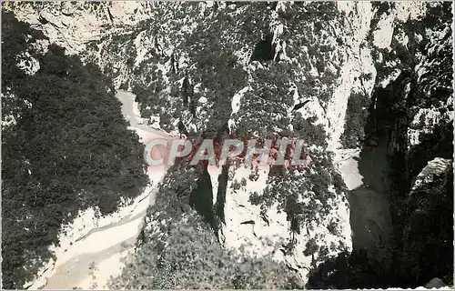 Cartes postales moderne Les Gorges du Verdon