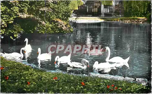 Moderne Karte Vittel Place d'eau dans le Parc Cygnes