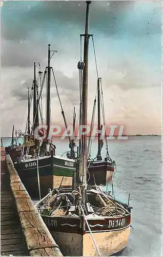 Cartes postales moderne Cayeux (Somme) Le Hourdel Bateau de Peche