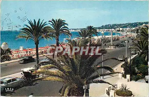 Cartes postales moderne Reflets de la Cote d'Azur Nice (A Mmes) La Promenade des Anglais