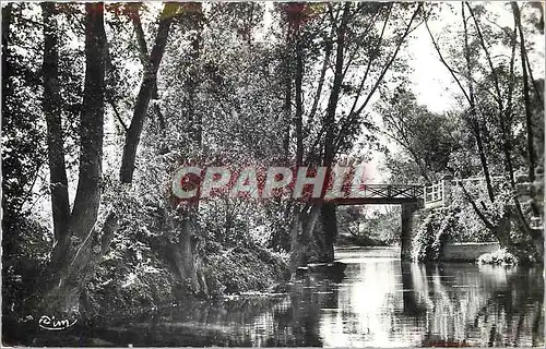 Cartes postales moderne Vernon (Eure) Le Bras St Jean