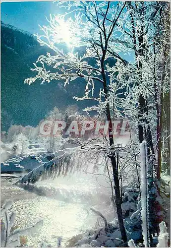 Cartes postales moderne Givres et brouillards