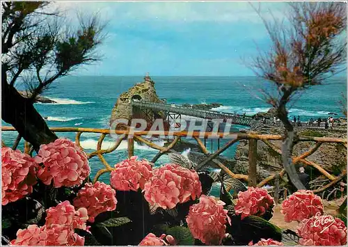 Cartes postales moderne Biarritz (Pyr Atla) Le Rocher de la vierge