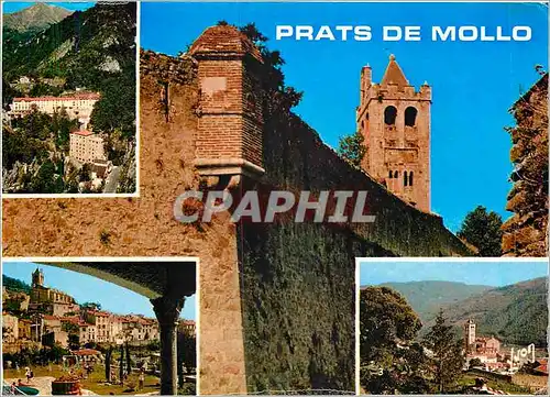 Cartes postales moderne Couleurs et Lumiere de France Pats de Mollo (Pyr Or) Vue generale Park hotel L'Estamaruis