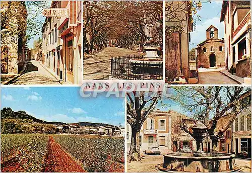 Cartes postales moderne La Provence Pittoresque Mans les Pins (Var) Alt 440 m Souvenir