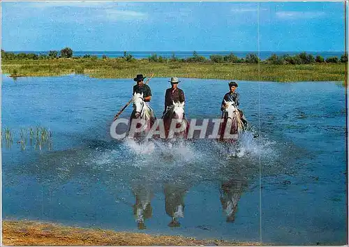 Moderne Karte Camargue Lumiere et Tradition Mejanes Gardians sur les bords du Vaccares