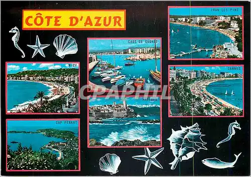 Cartes postales moderne Cote d'Azur Nice Cros de Gagnes Juan les Pins Cap Ferrat Cannes