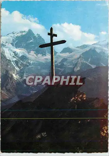 Cartes postales moderne L'Ete dans les Alpes Vers les sommets